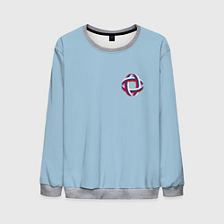 Мужской свитшот Флаг в кольце