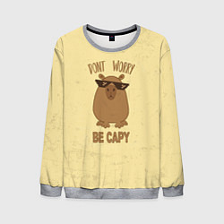 Мужской свитшот Dont worry