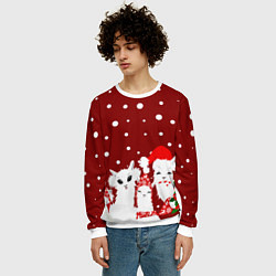 Свитшот мужской Семья ламы, цвет: 3D-белый — фото 2