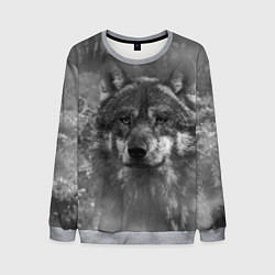 Свитшот мужской Серый волк на сером фоне, цвет: 3D-меланж