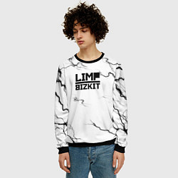 Свитшот мужской Limp bizkit storm black, цвет: 3D-черный — фото 2
