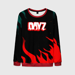 Свитшот мужской Dayz flame, цвет: 3D-красный