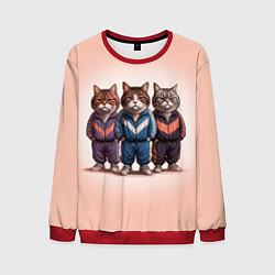 Мужской свитшот Три полосатых кота в спортивных костюмах пацана