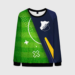 Мужской свитшот Hoffenheim football field