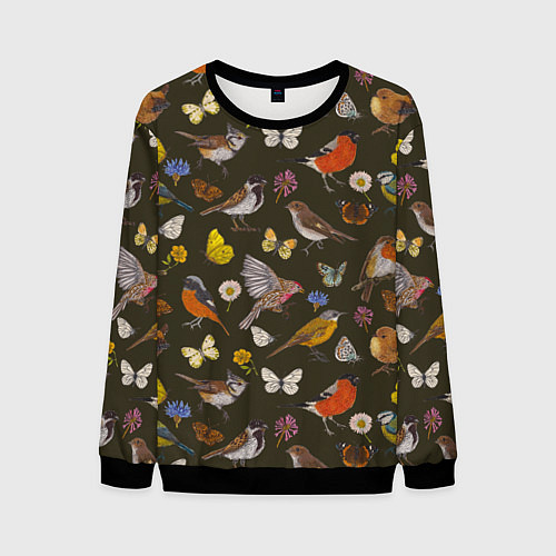 Мужской свитшот Птицы и бабочки с цветами паттерн / 3D-Черный – фото 1