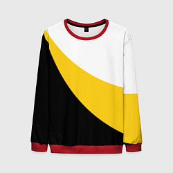 Мужской свитшот Сокрушу пред ним врагов его большой герб