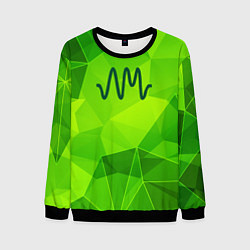 Свитшот мужской Arctic Monkeys green poly, цвет: 3D-черный