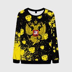 Свитшот мужской Жёлтые краски герб, цвет: 3D-черный