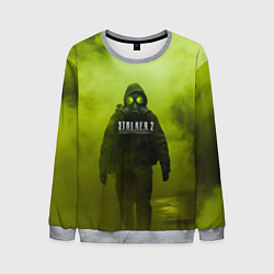 Свитшот мужской Stalker кислотный туман, цвет: 3D-меланж