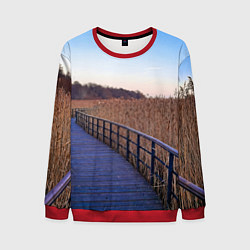 Свитшот мужской Камышовые плавни на Финском заливе, цвет: 3D-красный
