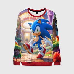 Мужской свитшот Sonic фантастический мир