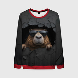 Мужской свитшот Капибара в стене