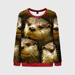 Мужской свитшот Мордочки выдр