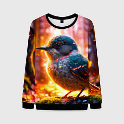 Свитшот мужской Кукушка в искрах, цвет: 3D-черный