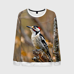 Свитшот мужской Дятел в лесу, цвет: 3D-белый
