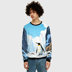 Свитшот мужской Пингвин в Антарктиде, цвет: 3D-черный — фото 2