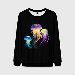 Мужской свитшот Танец трёх медуз