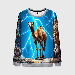 Мужской свитшот Верблюд и удар молнии