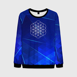 Свитшот мужской Coldplay blue poly, цвет: 3D-черный