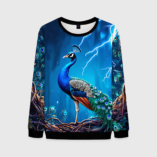 Мужской свитшот Павлин и молния / 3D-Черный – фото 1