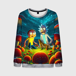 Мужской свитшот Rick and Morty on the fly agaric planet