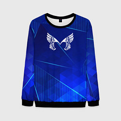 Свитшот мужской Placebo blue poly, цвет: 3D-черный