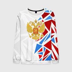 Мужской свитшот Герб России - фрагментация цветов