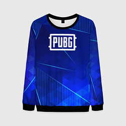 Свитшот мужской PUBG blue poly, цвет: 3D-черный
