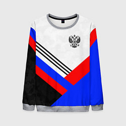 Свитшот мужской Герб России - минимализм, цвет: 3D-меланж