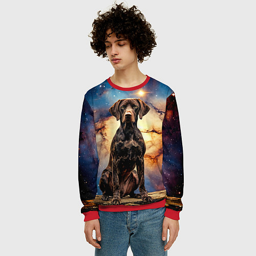 Мужской свитшот Курцхаар и космос / 3D-Красный – фото 3