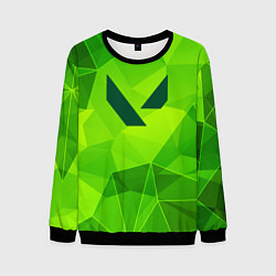 Свитшот мужской Valorant green poly, цвет: 3D-черный