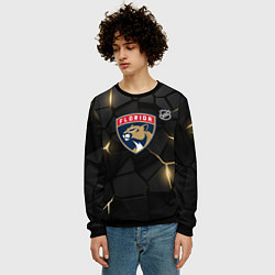 Свитшот мужской Флорида Пантерз - НХЛ хоккей, цвет: 3D-черный — фото 2
