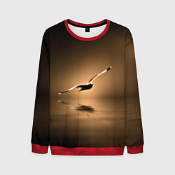 Мужской свитшот Летящая птица