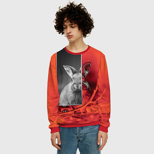 Мужской свитшот Хмурый кролик / 3D-Красный – фото 3