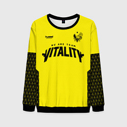 Свитшот мужской Flamez - Vitality CS2, цвет: 3D-черный