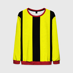 Мужской свитшот Color yellow black line