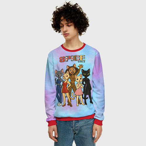Мужской свитшот Spice girls кошки из 90х / 3D-Красный – фото 3