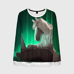 Мужской свитшот Хакер лошадь