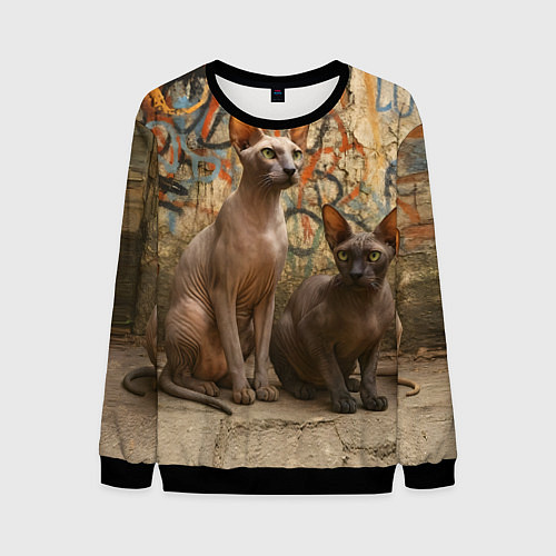 Мужской свитшот Петерболды сидят на фоне стены с граффити / 3D-Черный – фото 1