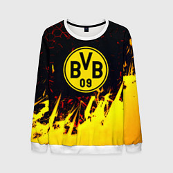 Мужской свитшот Borussia краски соты