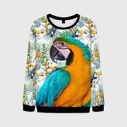 Свитшот мужской Летний попугай, цвет: 3D-черный