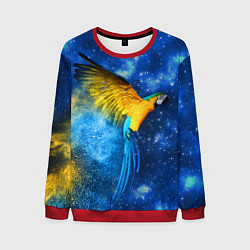 Свитшот мужской Космический попугай, цвет: 3D-красный