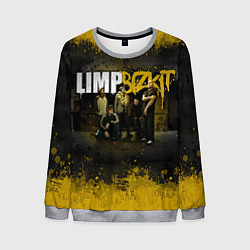 Свитшот мужской Limp Bizkit: Gold Street, цвет: 3D-меланж