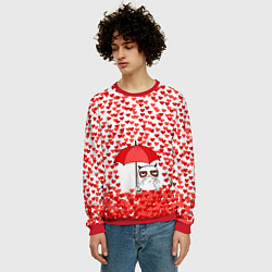 Свитшот мужской Сердцепад и сердитый кот, цвет: 3D-красный — фото 2