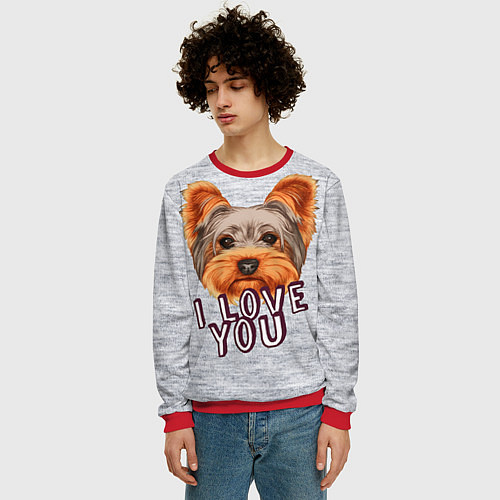 Мужской свитшот Йоркширский терьер / 3D-Красный – фото 3