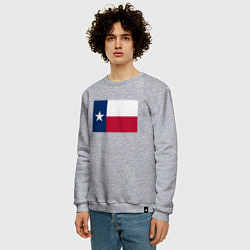 Свитшот хлопковый мужской Техас, цвет: меланж — фото 2