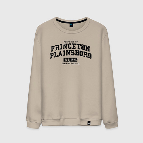 Мужской свитшот Princeton Plainsboro / Миндальный – фото 1