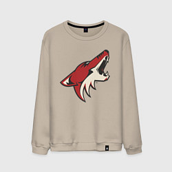 Мужской свитшот Phoenix Coyotes