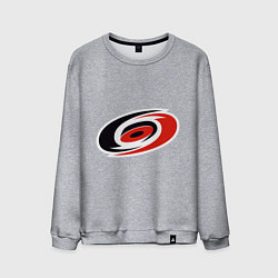 Свитшот хлопковый мужской Carolina Hurricanes, цвет: меланж