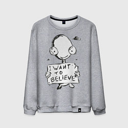 Свитшот хлопковый мужской I want to believe, цвет: меланж
